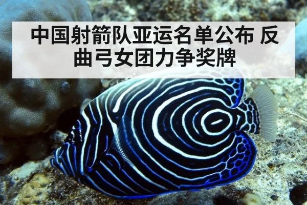 中国射箭队亚运名单公布 反曲弓女团力争奖牌